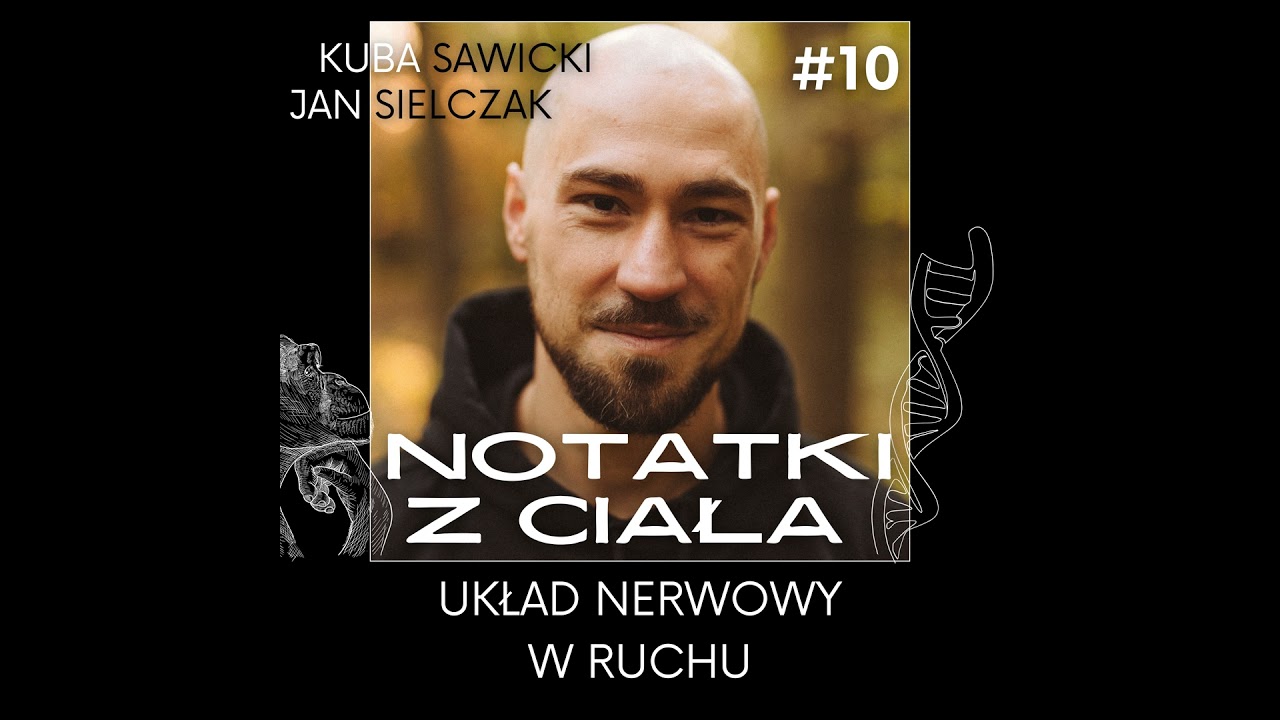 Układ nerwowy w ruchu - Notatki z ciała #10