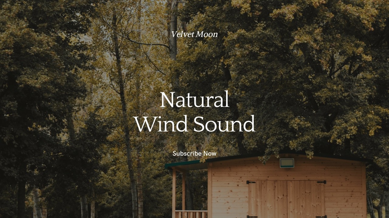 Rahatlatıcı Rüzgar Sesi I Relaxing Wind Sound