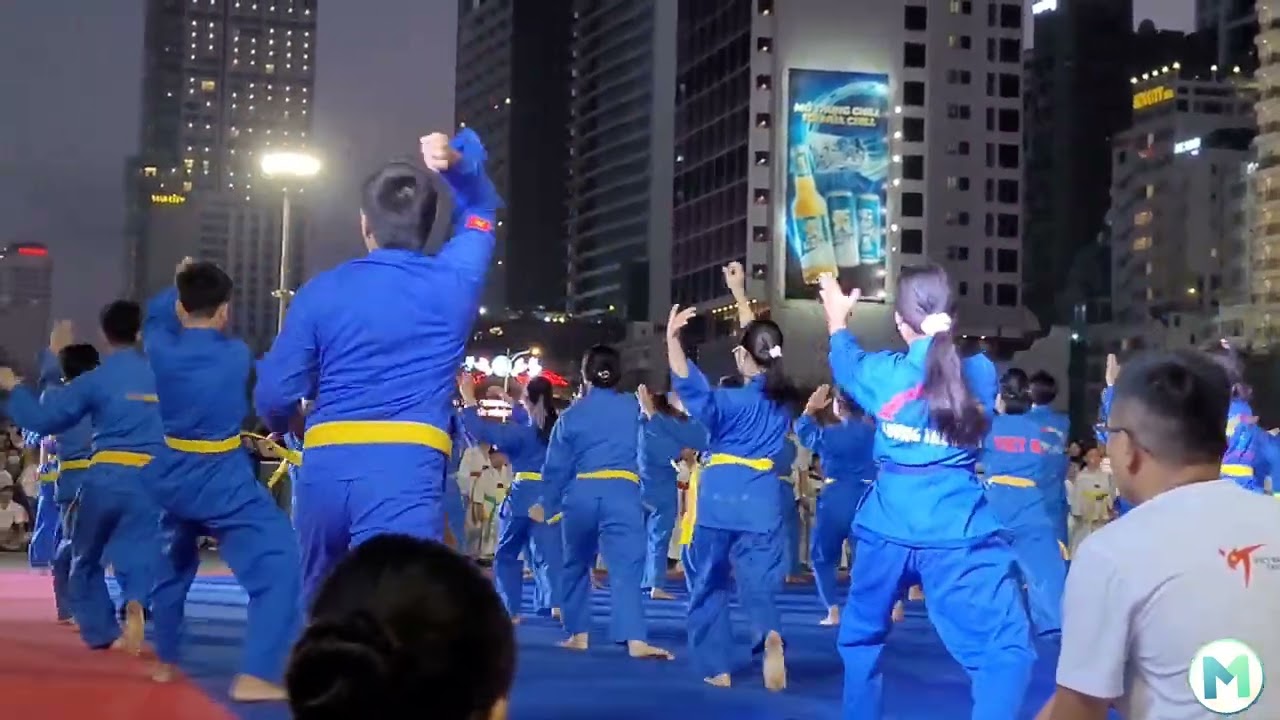 Liên hoan các môn võ thuật - Martial arts festival, Nha Trang