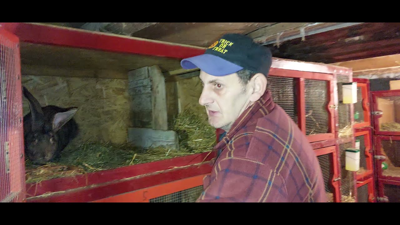 Ferma 11 noiembrie 2021.In. vizita la pesac la Cristi  Ardelean!