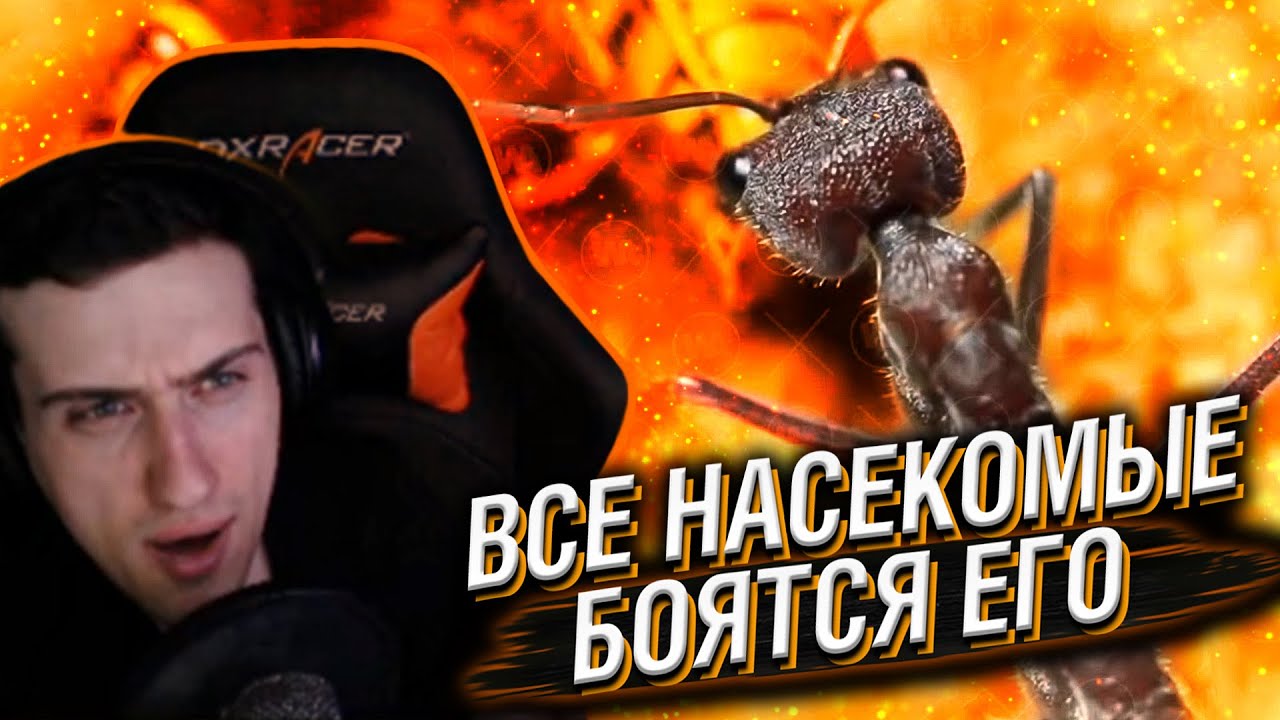 HELLYEAHPLAY СМОТРИТ: ВОТ ПОЧЕМУ ВСЕ НАСЕКОМЫЕ БОЯТСЯ ЕГО