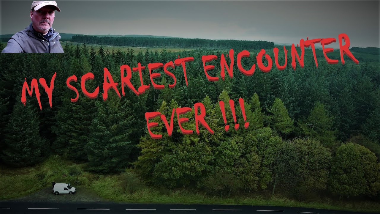 Van Life U K/Wild Camping, Horror in Harwood Forest !!!