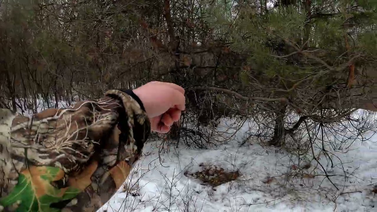 2026 shed hunting PA