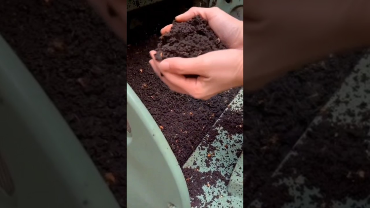 SAB&Iacute;AS cu&aacute;l es El MEJOR ESTI&Eacute;RCOL para hacer ABONO #shots #abono #estiercol #campo
