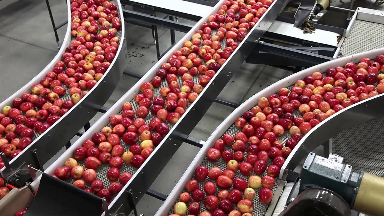 Mechanized Apple Processing Facility
