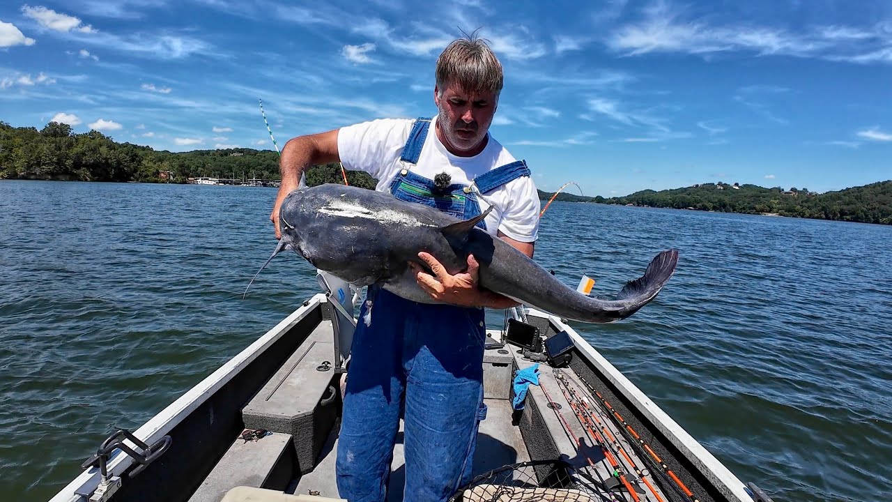 Watch This To Learn How To Catch Really Big Catfish