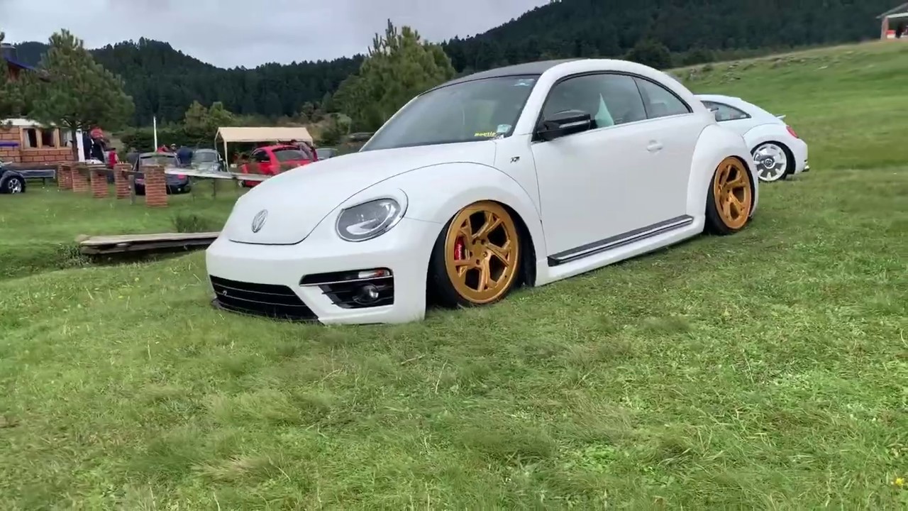 First Beetle Meet