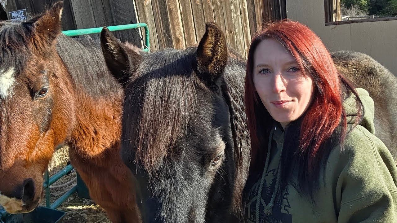 Real Farm Life: Horse Grooming Day