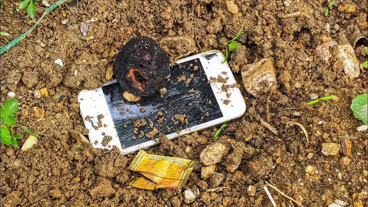 Trash — You Won’t Believe What I Did With It