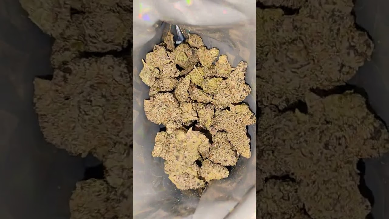 LIT FARMS SUPREME GAS LEAK ⛽😦 ⛽ #crazy #subscribe #shorts #shortsfeed #shortvideo #fyp #cali #gas