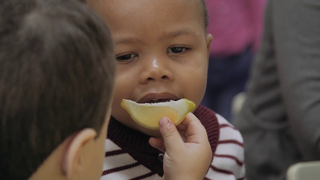 Les Ateliers d'Éveil Alimentaire