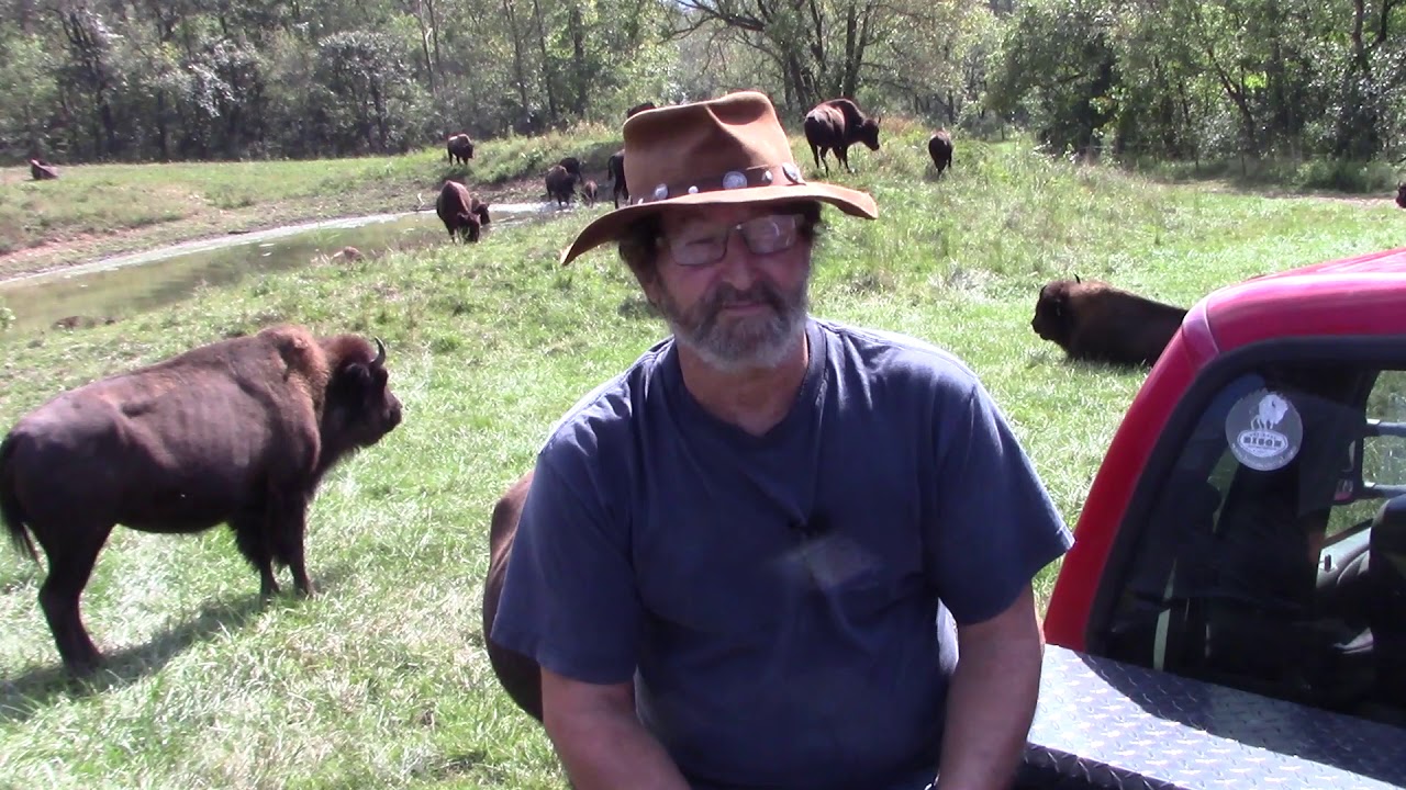 Ozark Valley Bison Farm