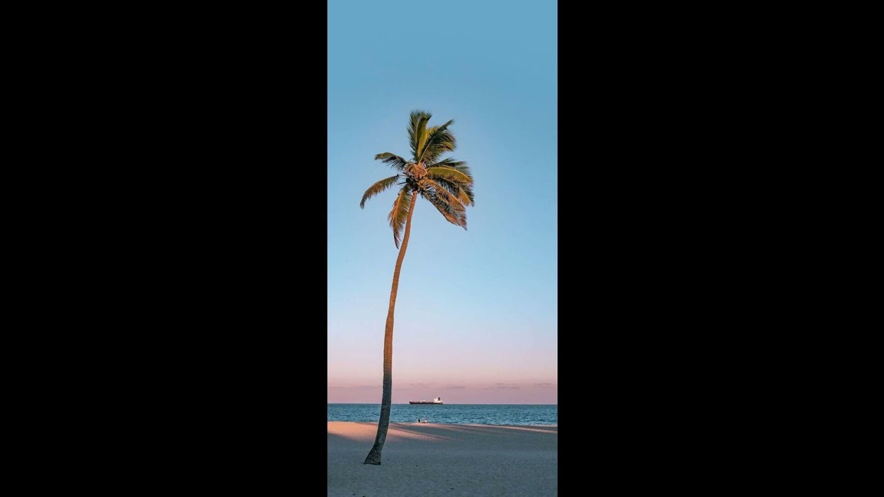 [free] lil tecca type beat 🎶 