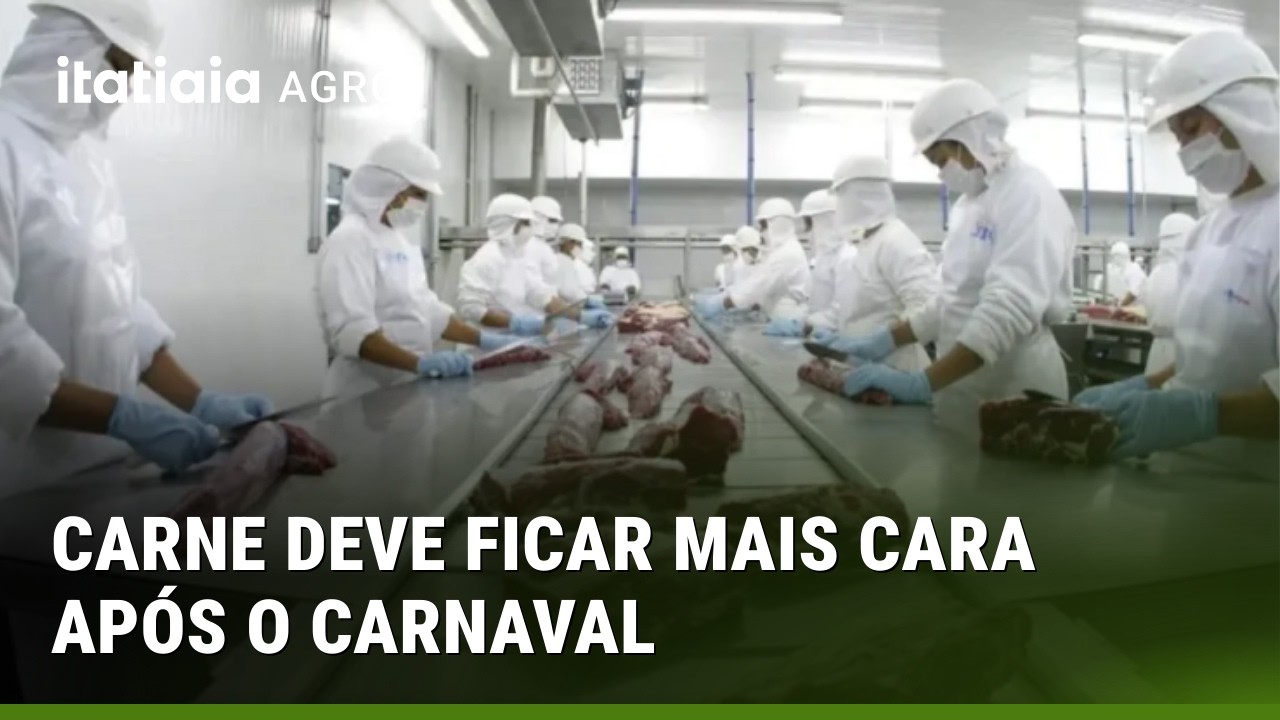 PREÇO DA CARNE DEVE TER ALTA APÓS O CARNAVAL; SAIBA O MOTIVO