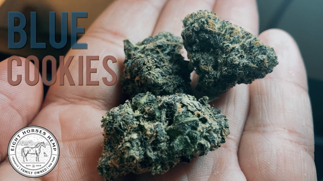 Blue Cookies THCa by Eight Horses Hemp
