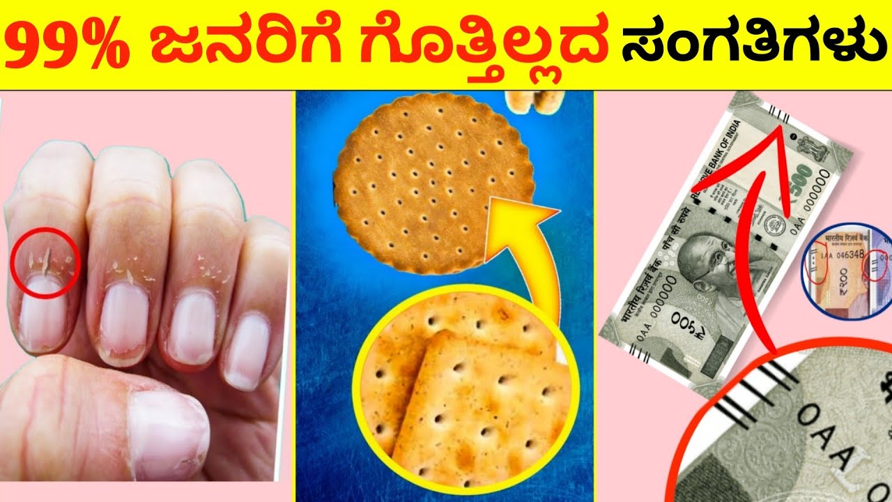Top 12 Interesting And Amazing Facts In Kannada | Unknown Facts | Episode No 117 | InFact Kannada