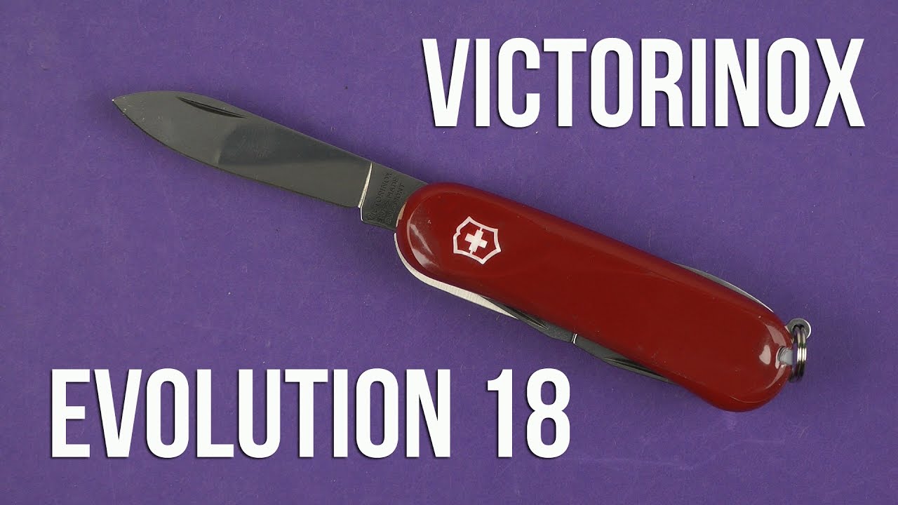 Распаковка Victorinox Evolution 18 2.4913.E