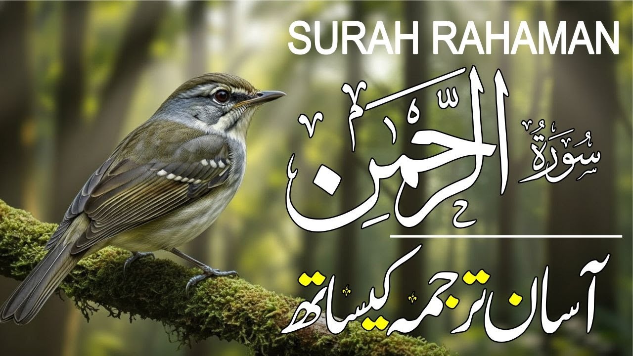 Surah Al-Rahman With Urdu & Hindi Translation | Most Beautiful & Calming Recitation | Islaim Mag Dua