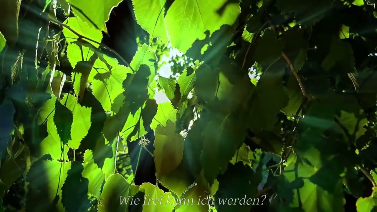 Wie tief kann ich fallen, wenn alles zerfällt