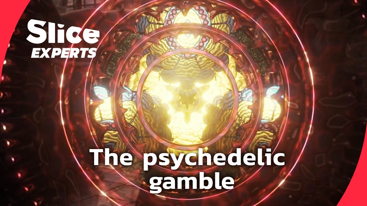 Psychedelic therapy: healing breakthrough or dangerous illusion? I Full Doc | SLICE EXPERTS