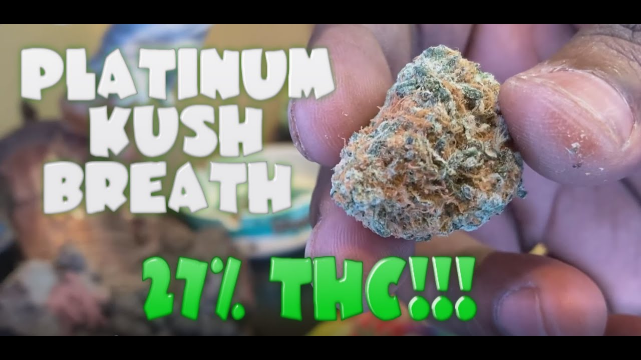 Weed Smoking Session #14 - Platinum Kush Breath