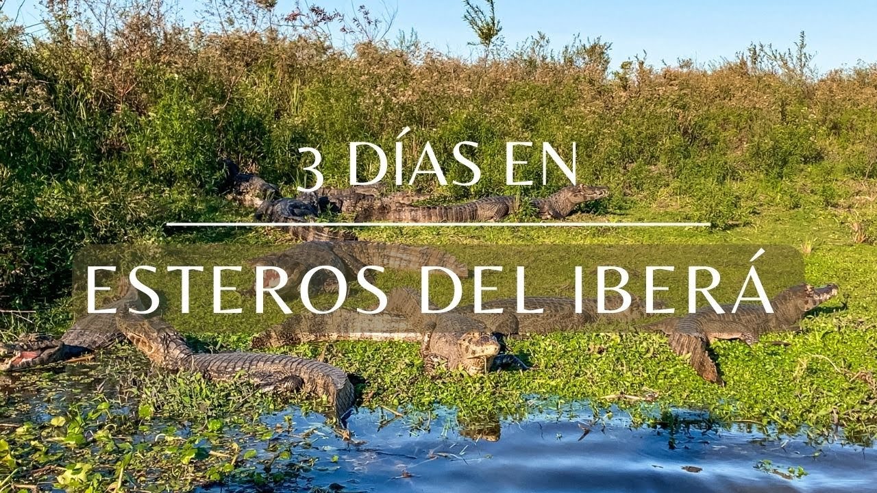 ESTEROS DEL IBERÁ