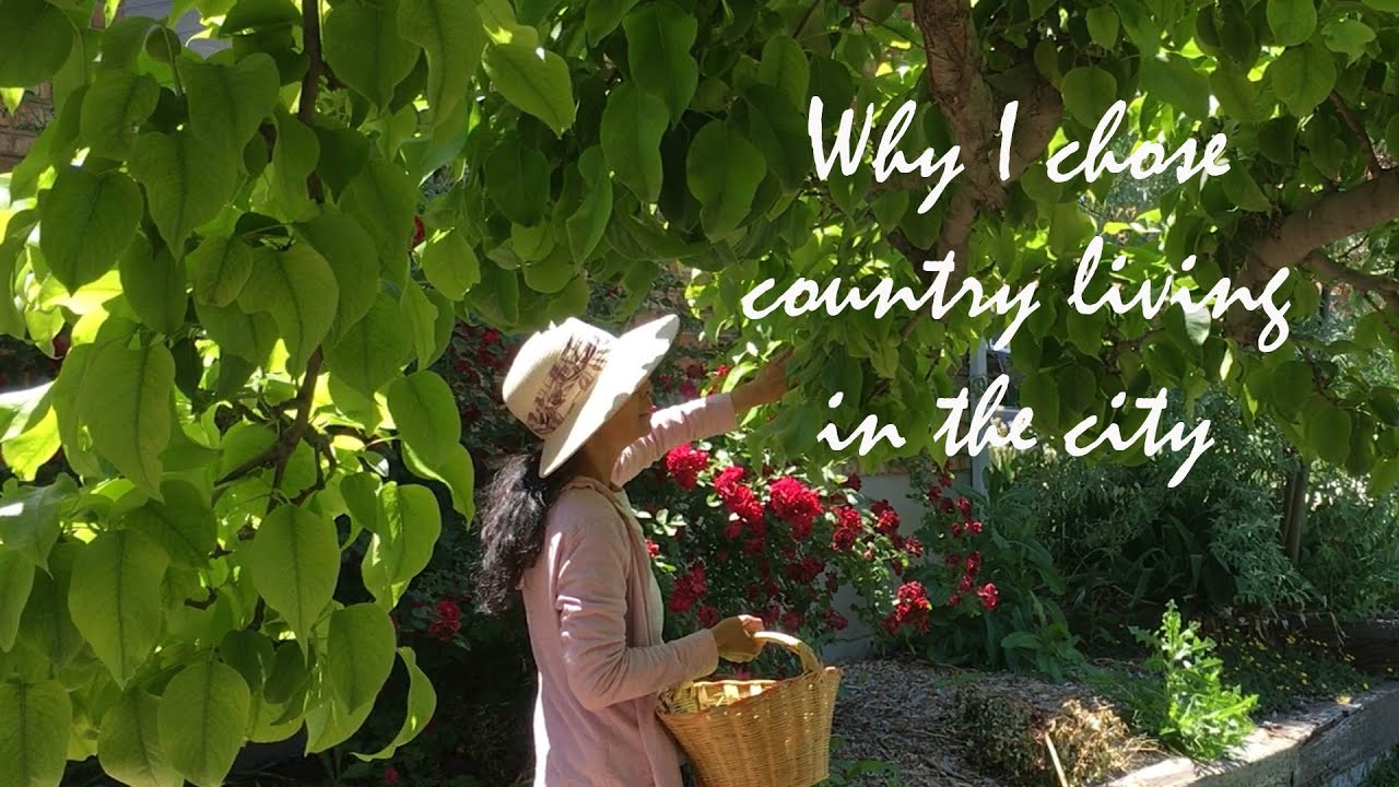 I didn't need to escape: Why I Chose Country Living in the City