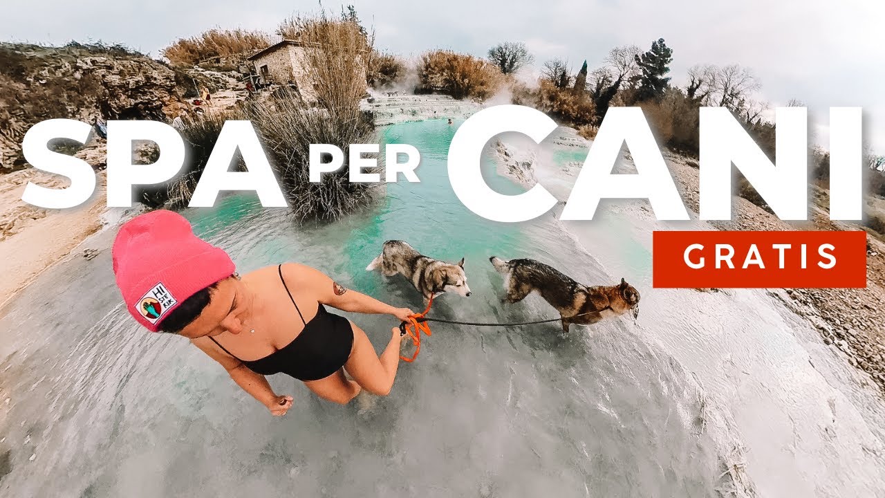 ALLE TERME CON I CANI | TOSCANA ON THE ROAD