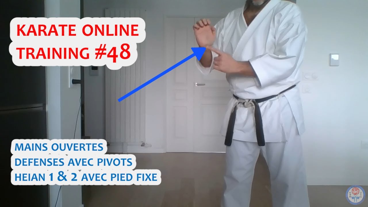 MAINS OUVERTES - DEFENSES AVEC PIVOTS - HEIAN SHODAN & NIDAN PIED FIXE 🥋 Karate Online Training #48