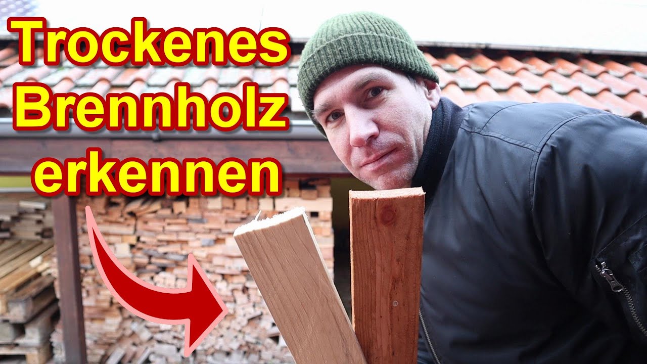 Trockenes Brennholz erkennen - So testen, ob Kaminholz trocken ist!