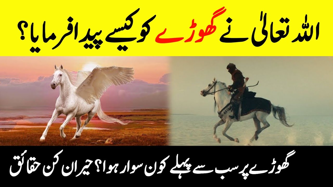 How Did Allah Created Horses 🐎 ? || Who Was The First Horse Rider? || Mysterious Facts About Horses