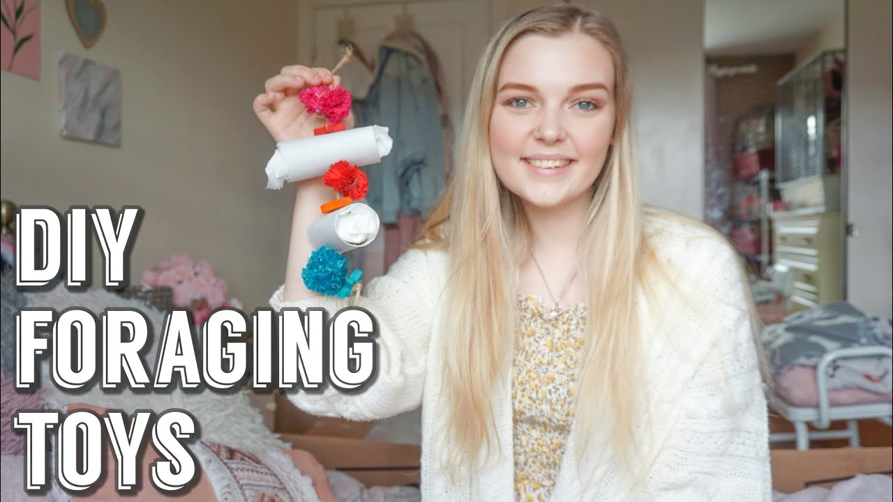 DIY Small Animal Toys / Rat and Hamster Toys / Making My Own DIY Foraging Toys