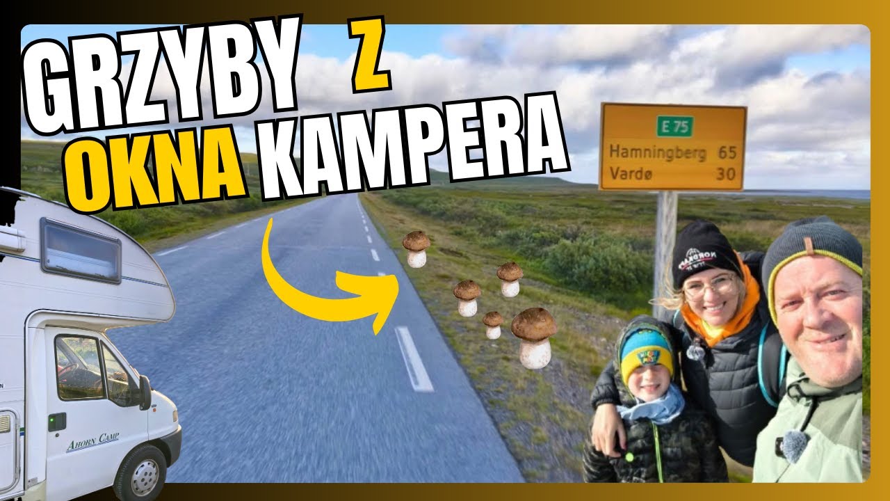 🇳🇴Grzybobranie w NORWEGII Trasa widokowa KAMPEREM🚐 i ptasia wyspa Ekkerøy 🌊🐦