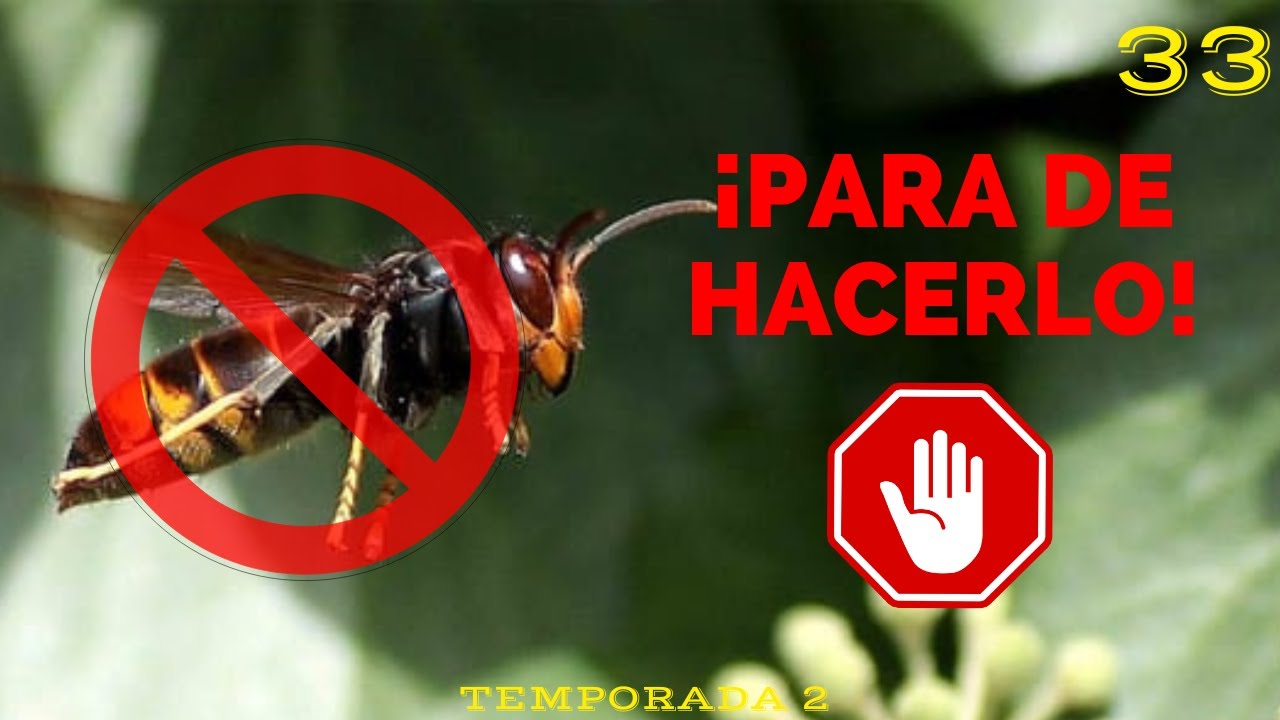 🐝No HAGAS más TROYANOS❌ ¿VAMOS A ENVENENAR EL MONTE?🧐