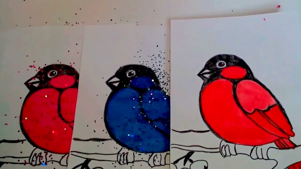 LEARN COLORS WITH BIRDS / APPRENDRE DES COULEURS AVEC DES OISEAUX