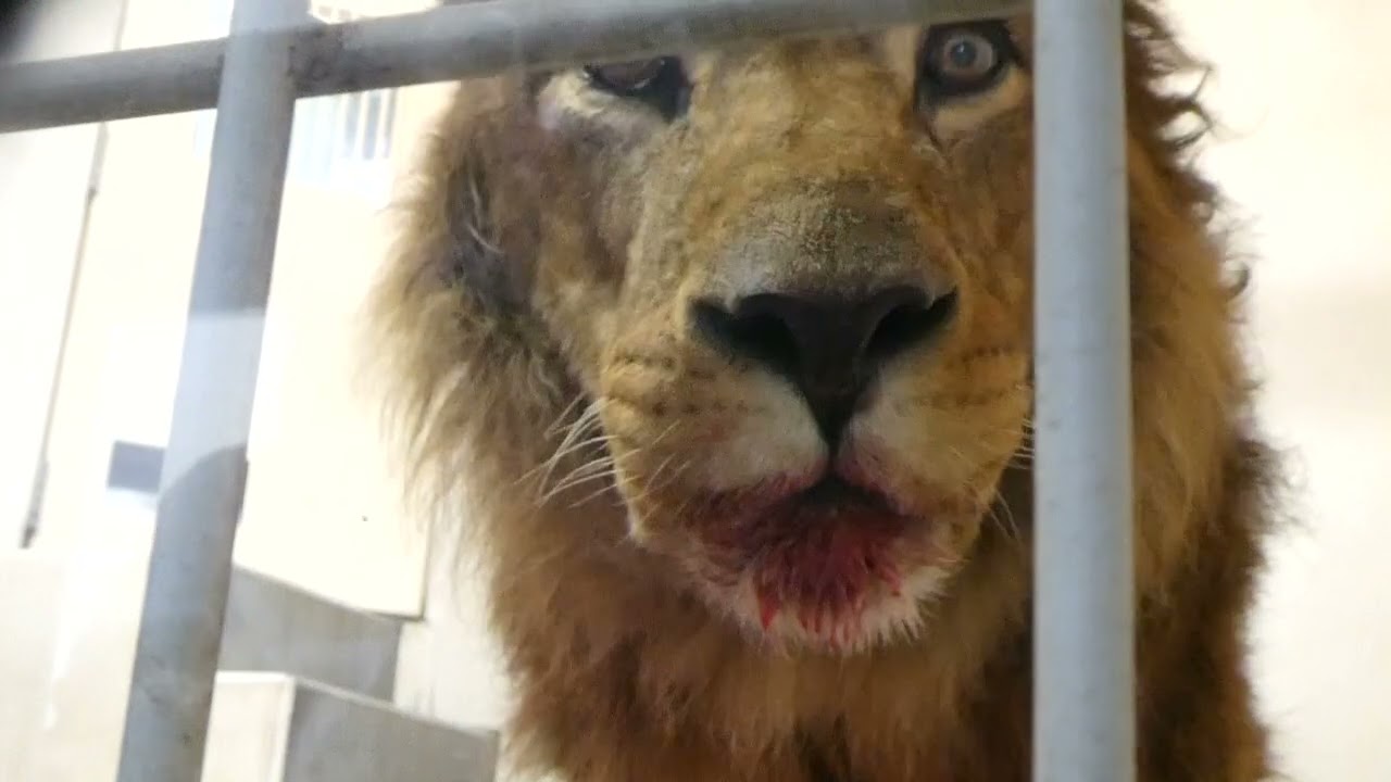 しっかり食べる