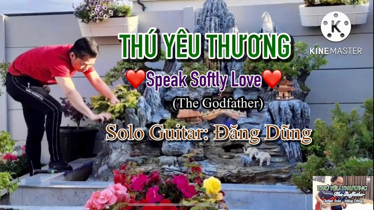 THÚ YÊU THƯƠNG - Speak Softly Love (The Godfather) / Guitar Solo: Đăng Dũng
