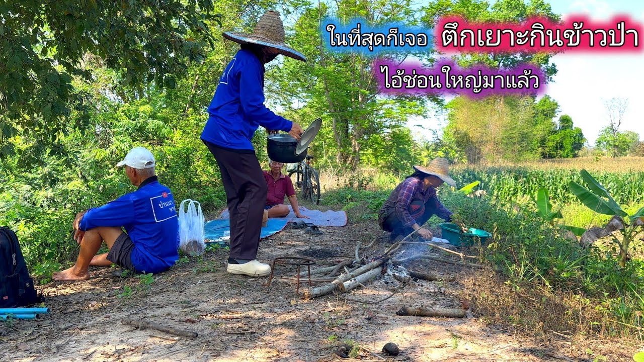 ในที่สุดก็เจอ!! ตึกเยาะกินข้าวป่า ไอ้ช่อนใหญ่มาแล้ว งานนี้ถูกใจพ่อตา