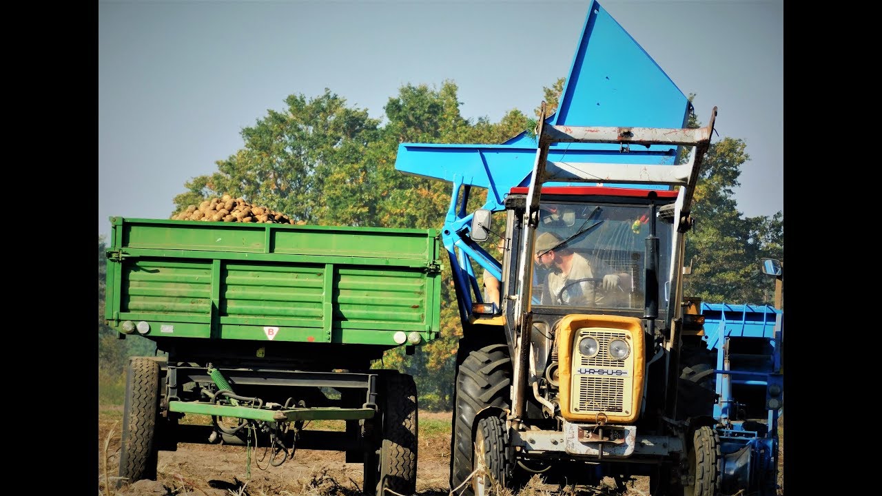 Kopanie Ziemniak&oacute;w 2018 ☆ Ursus C-360 3P & Bolko Z 643 :)