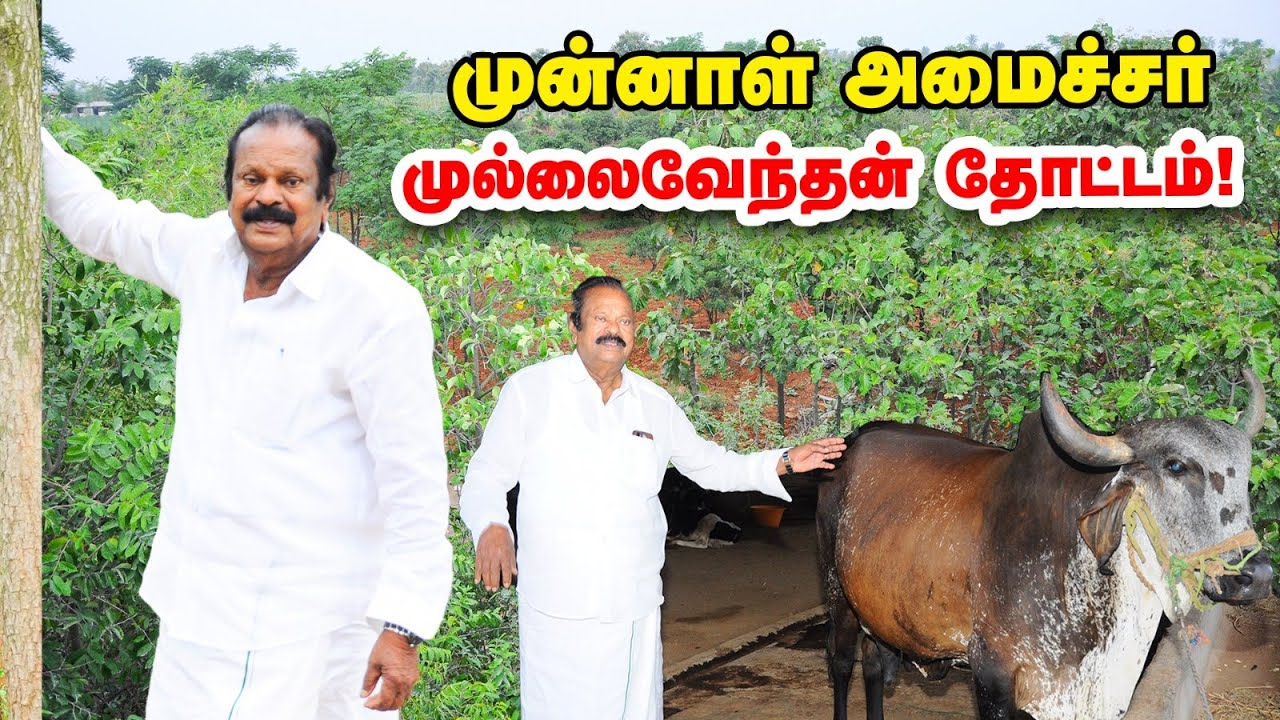 அப்போ அரசியல்... இப்போ விவசாயம்... கலக்கும் முன்னாள் அமைச்சர் முல்லைவேந்தன்!