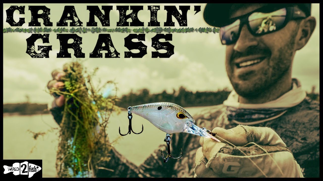 How to Fish Crankbaits for Bass in Grass Lakes