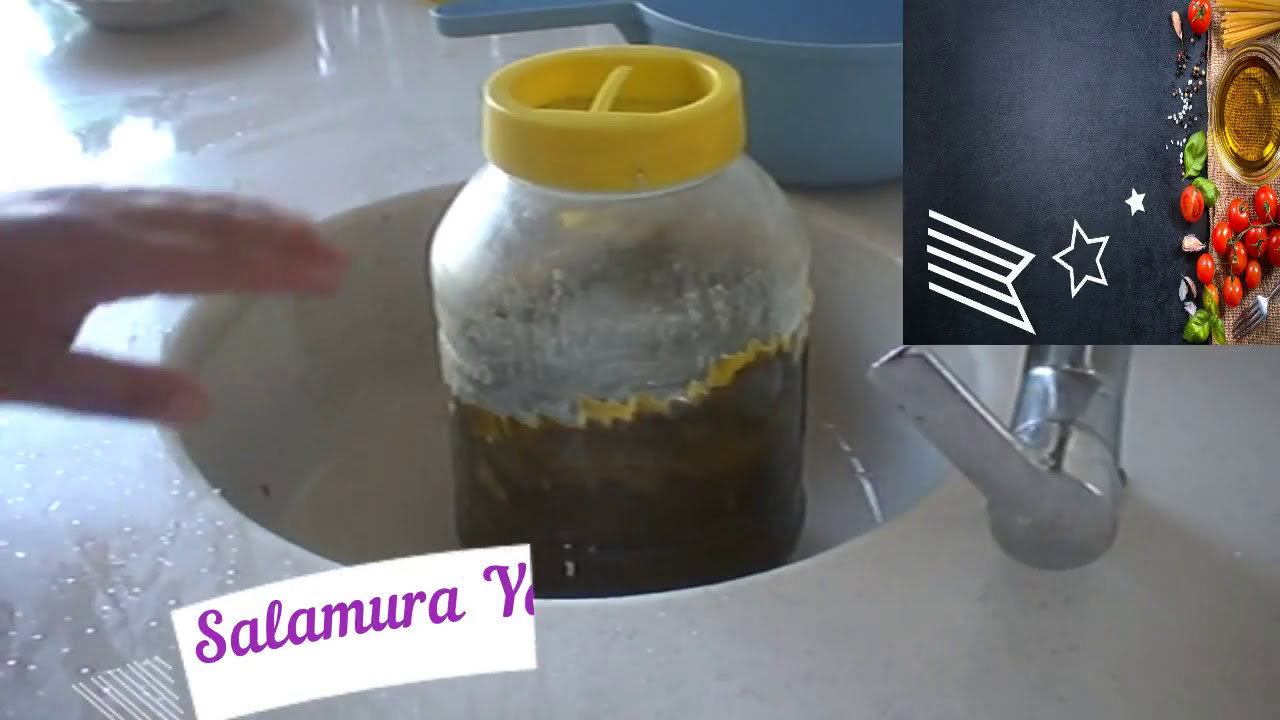 Salamura Yaprak Nasıl Kullanılır? Food viral