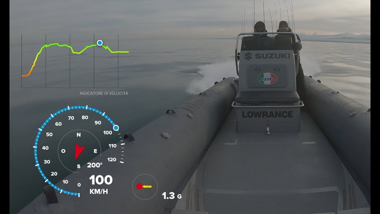 Focchi 730 Profish + suzuki df300