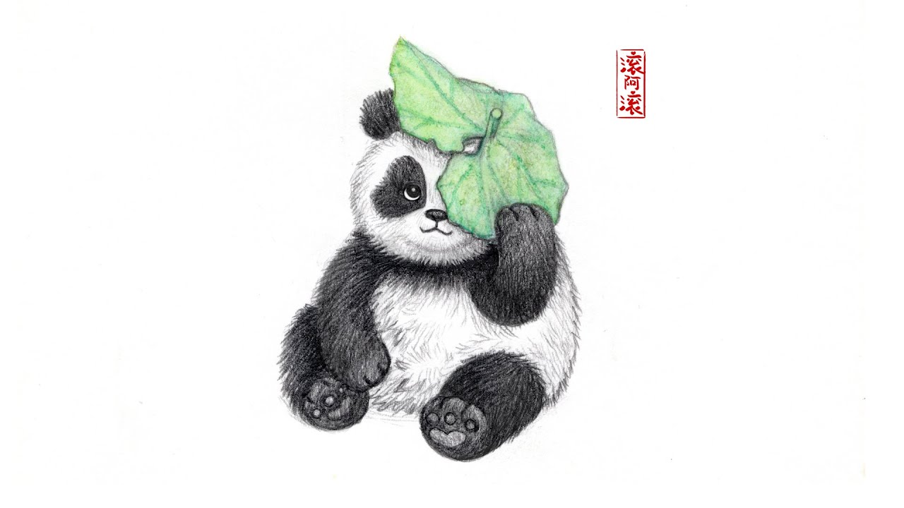 ASMR｜🐼✍️How to draw a cute panda ？