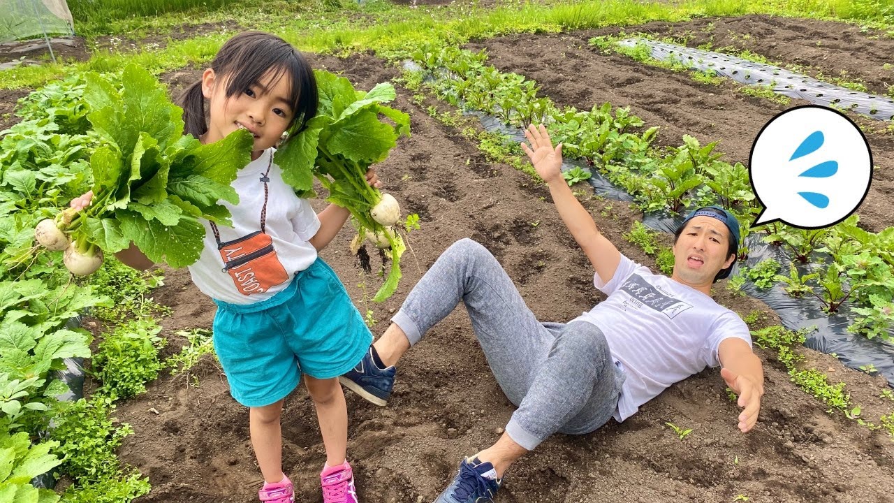 【おおきなかぶ】ごっこして嬉しそうに野菜を収穫する、あーたん