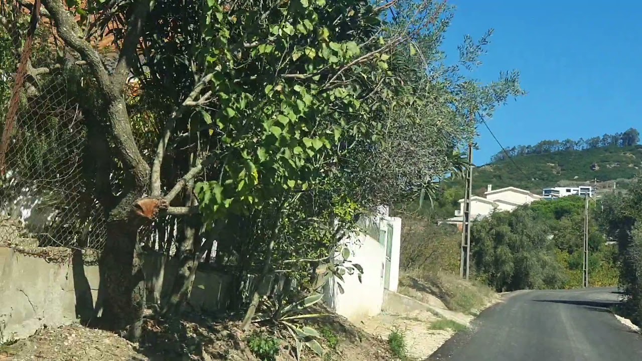 NA ZONA RURAL-ENCONTRA-SE CASA PRA ALUGAR MAIS BARATO EM PORTUGAL 👍🇵🇹
