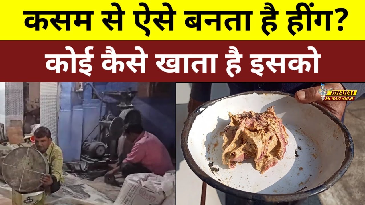 कसम से ऐसे बनता है हींग? कोई कैसे खाता है इसको Bharat Ek Nayi Soch