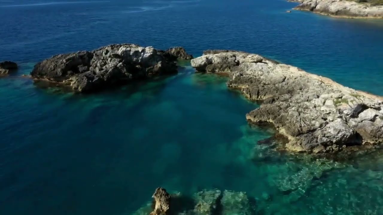 Gorgonia Diving - Tremiti
