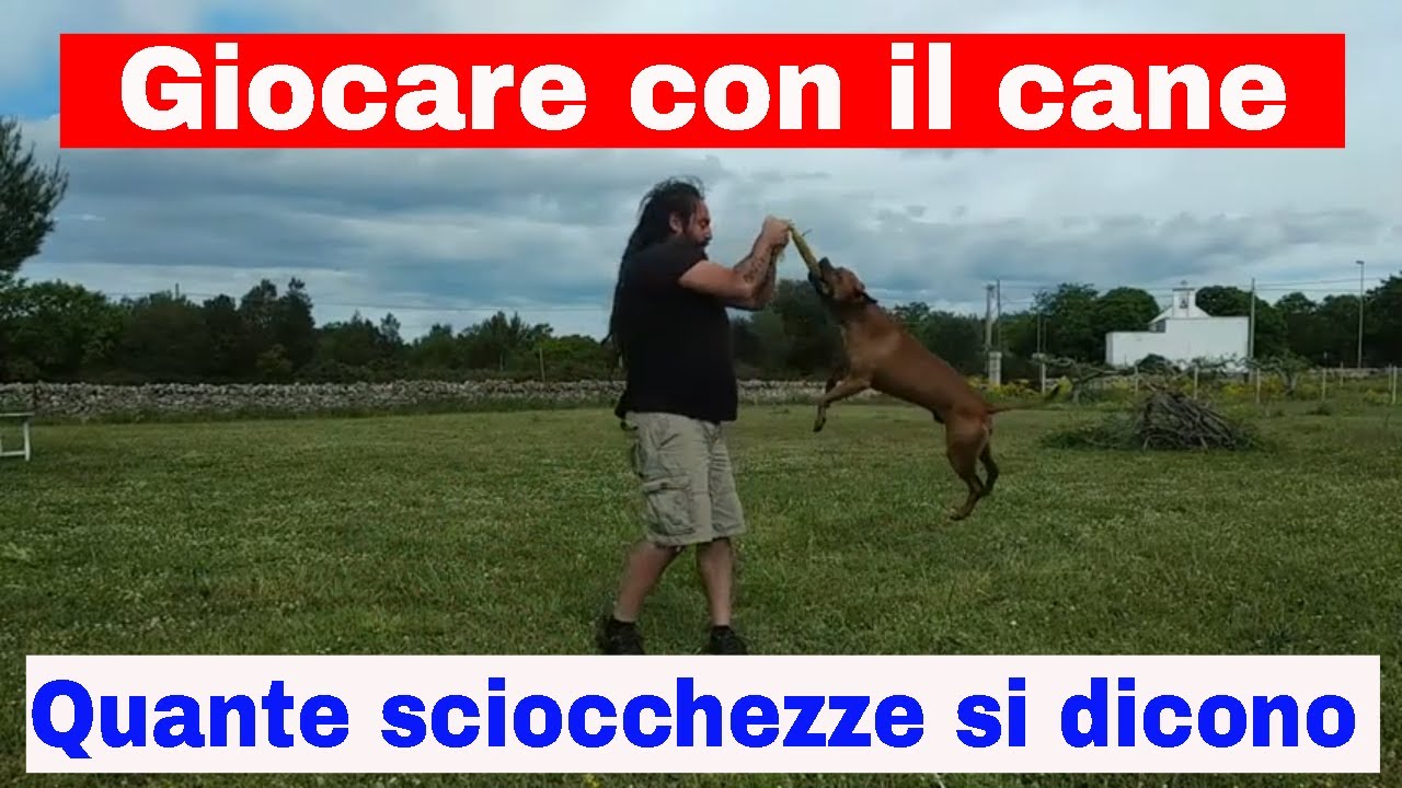 Giocare con il cane. Quante sciocchezze si dicono!
