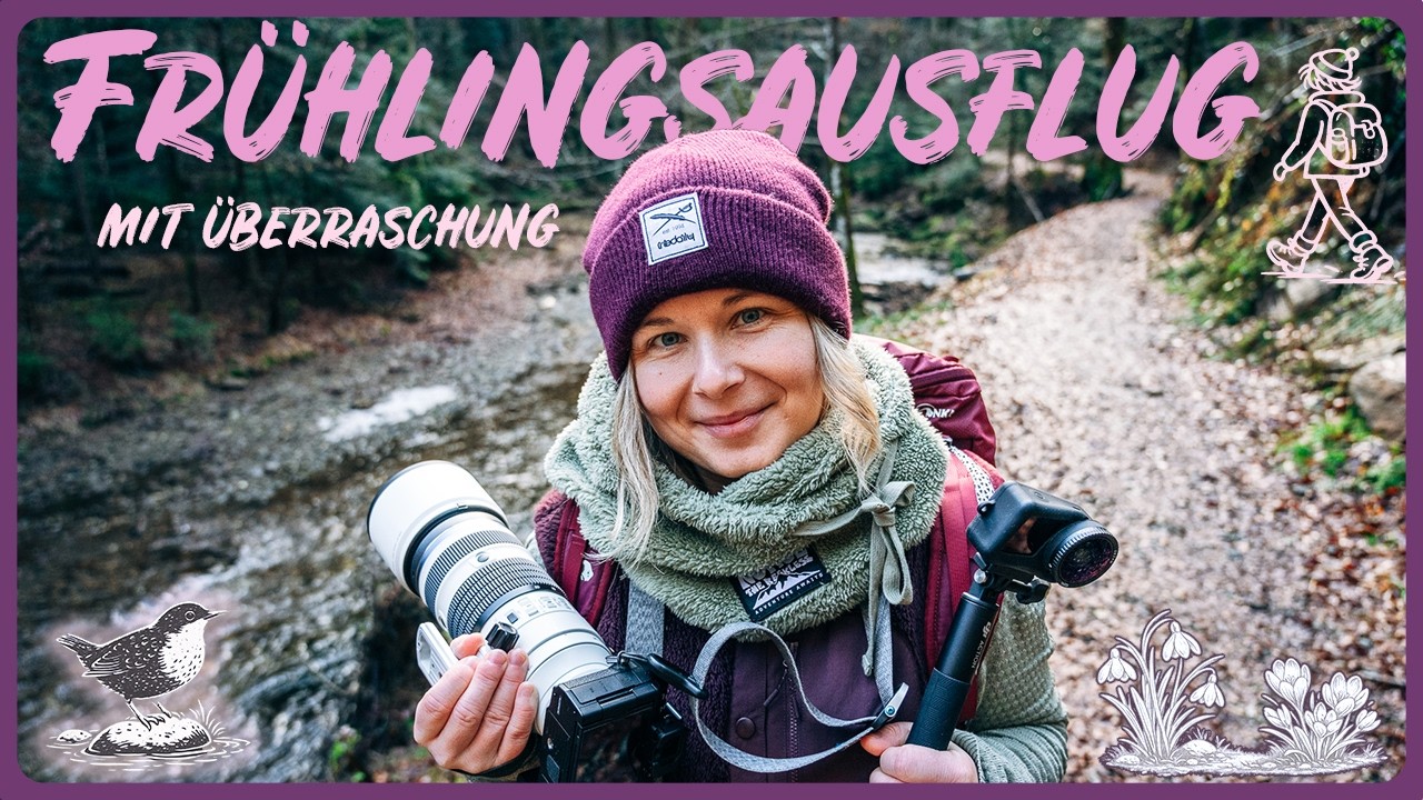 Plötzlich umringt von Wasseramseln!